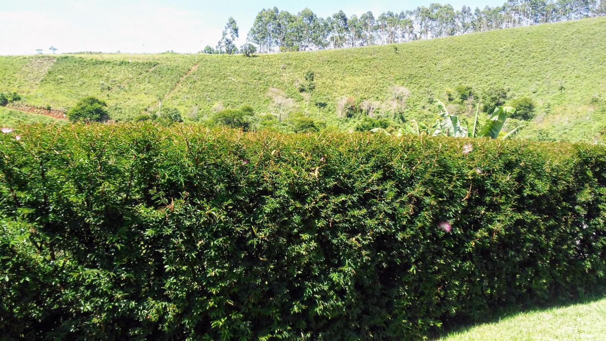 Temporada No Paraiso Em Teresopolis Villa Exterior photo